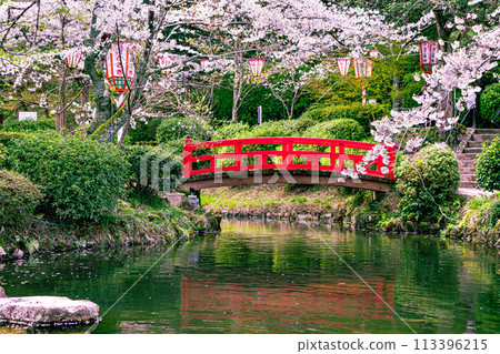賞櫻勝地打椿公園 賞櫻勝地打椿公園 113396215