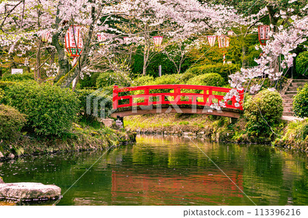 賞櫻勝地打椿公園 賞櫻勝地打椿公園 113396216