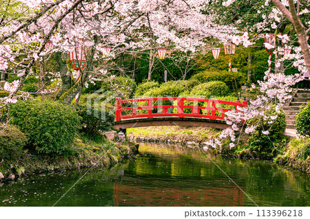 Utsubuki Park: A famous cherry blossom spot 113396218