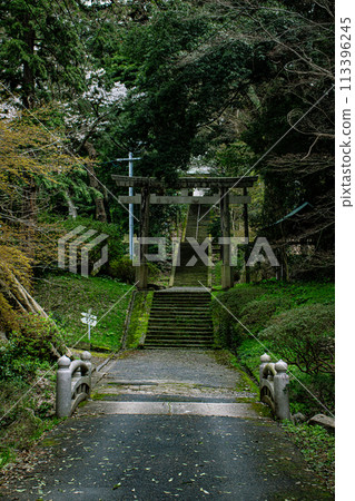 The approach of the shrine 113396245