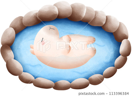 Capybara soaking in hot spring water  113396384