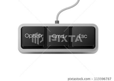 Option Cmd Esc button combination. Computer Keyboard. Word on pc computer keyboard. Vector illustration. 113396787