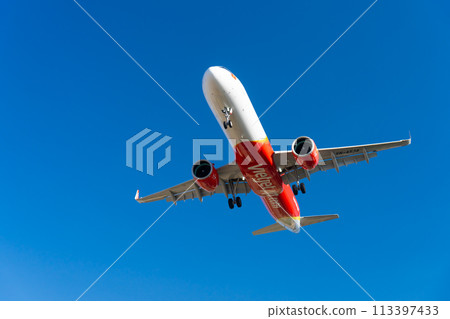 Landing passenger plane Airbus A320 113397433