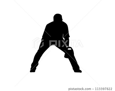 Baseball Baseball 113397822