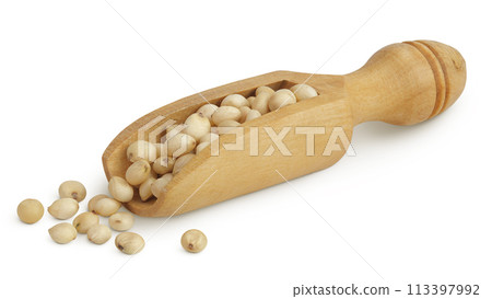 Sorghum seeds in wooden scoop isolated on white background with full depth of field. 113397992