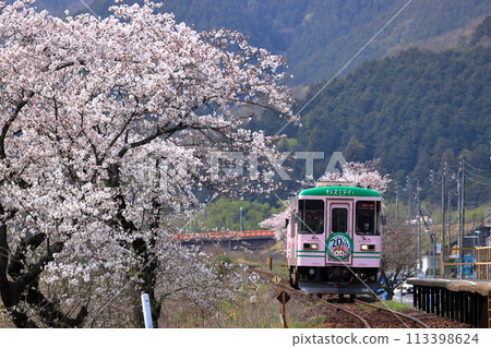 Spring Tarumori Railway 113398624
