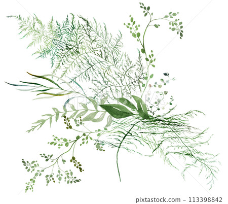 Bouquet with Watercolor fern twigs with green leaves isolated illustration, botanical wedding 113398842