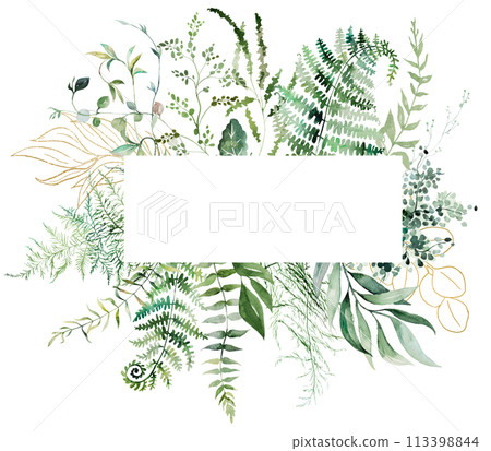 Geometric frame with Watercolor fern twigs with green leaves isolated illustration, botanical wedding 113398844
