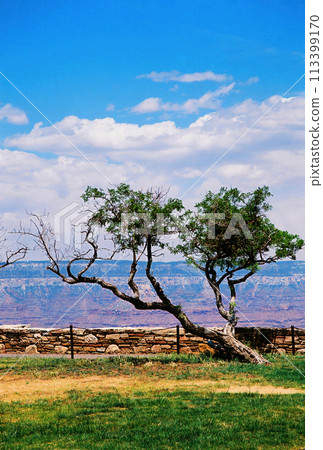 Cloudy Day At The Grand Canyon Arizona on Film Cloudy Day At The Grand Canyon Arizona on Film 113399170