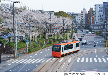 都電線運行的電車 113399191