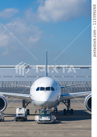 機場飛機羽田機場起飛航空公司引擎煞車早晨明亮控制塔航站樓 機場飛機羽田機場起飛航空公司引擎煞車早晨明亮控制塔航站樓 113399268