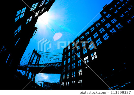 曼哈頓大橋（美國布魯克林） 113399327
