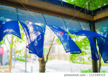 cool blue noren 113399335