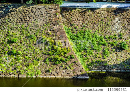 Ishigaki of Edo castle 113399381