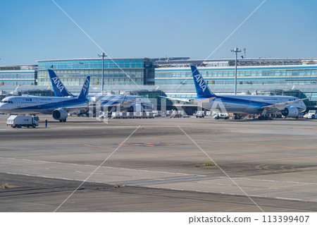 Airport, airplane, Haneda Airport, takeoff, airline, engine, brake, morning, bright, control tower, terminal, maintenance Airport, airplane, Haneda Airport, takeoff, airline, engine, brake, morning, bright, control tower, terminal, maintenance 113399407