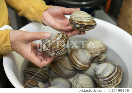 北海道厚真町，北海貝被沖上岸，一名女子拿著它炫耀。 113399596