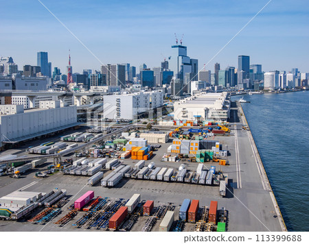 Containers lined up at a logistics center in Tokyo Port 113399688