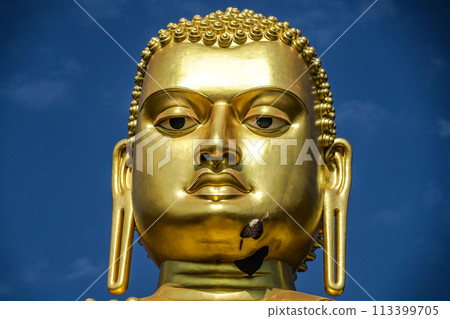 Golden Temple of Sri Lanka Dambulla (World Heritage) Golden Temple of Sri Lanka Dambulla (World Heritage) 113399705