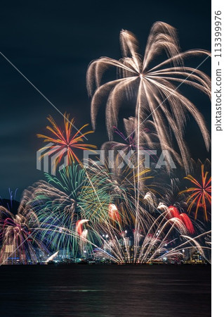 Japanese landscape fireworks 113399976