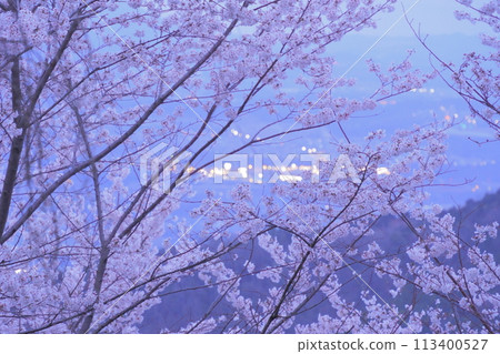 黃昏的橋本市俯瞰國代山 黃昏的橋本市俯瞰國代山 113400527