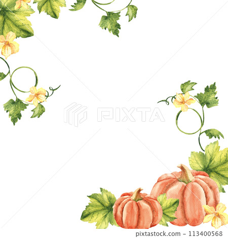 Autumn square frame, border. Watercolor pumpkin corner composition with flowers and leaves. Botanical vegetable hand drawn watercolor illustration isolated on white background. Can be used for cards 113400568
