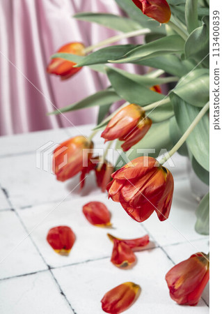 Elegance in Decline : The silent beauty of withering tulips on a white tiled backdrop, a contrast between vitality and the inevitable passage of time Elegance in Decline : The silent beauty of withering tulips on a white tiled backdrop, a contrast between vitality and the inevitable passage of time 113400839