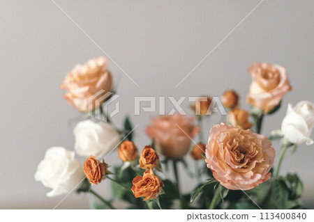 Pastel Petals : A serene display of roses, blending from pale peach to ivory, each flower a testament to nature's artistry Pastel Petals : A serene display of roses, blending from pale peach to ivory, each flower a testament to nature's artistry 113400840