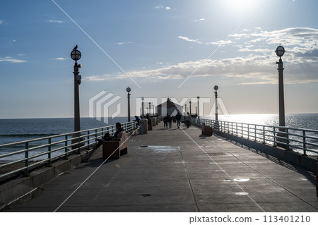 Bridge over the coast Bridge over the coast 113401210