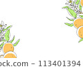 Simple design of orange with branch 113401394