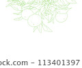 Simple line drawing of an orange with a branch 113401397