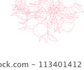 Simple line drawing of an orange with a branch 113401412