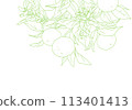 Simple line drawing of an orange with a branch 113401413