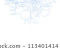 Simple line drawing of an orange with a branch 113401414