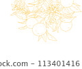 Simple line drawing of an orange with a branch 113401416