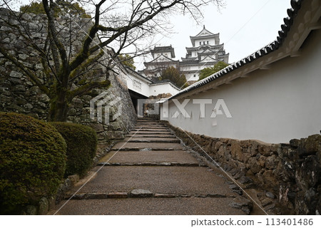 [Himeji City, Hyogo Prefecture] Himeji Castle Shogunzaka 113401486