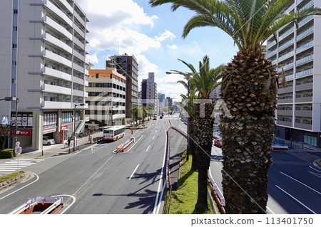 View of the east side of National Route 26 Phoenix Street from Sumiyoshibashi-cho, Sakai Ward, Sakai City, Osaka Prefecture View of the east side of National Route 26 Phoenix Street from Sumiyoshibashi-cho, Sakai Ward, Sakai City, Osaka Prefecture 113401750