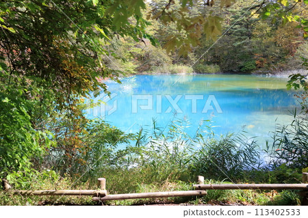 五色沼(福島縣北鹽原村里磐梯青沼、五色沼)分佈在磐梯山腳下 五色沼(福島縣北鹽原村里磐梯青沼、五色沼)分佈在磐梯山腳下 113402533