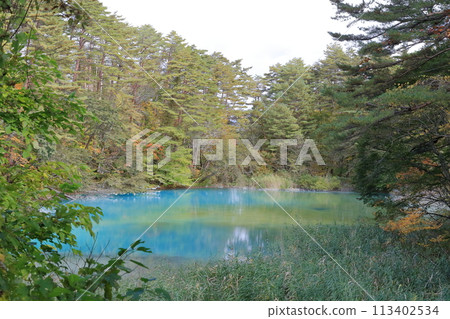 五色沼（福島縣北鹽原村里磐梯青沼、五色沼）分佈在磐梯山腳下 113402534