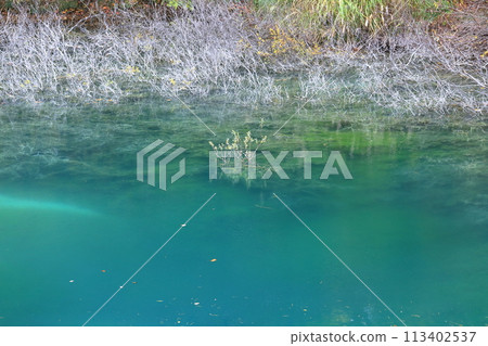 五色沼（福島縣北鹽原村里磐梯青沼、五色沼）分佈在磐梯山腳下 113402537