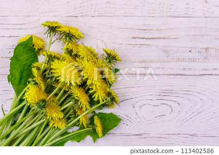 Yellow dandelion flowers on white wooden background. Top view Yellow dandelion flowers on white wooden background. Top view 113402586
