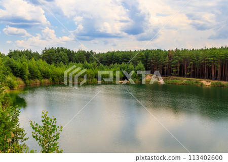 View of a beautiful lake in a pine forest at summer 113402600