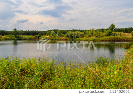 View of a beautiful lake in a pine forest at summer View of a beautiful lake in a pine forest at summer 113402601