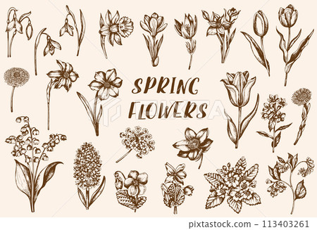 Set of vintage spring flowers 113403261