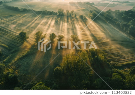 Bird's eye view of agricultural cultivated seeded fields, farmland in the rays of the rising sun Bird's eye view of agricultural cultivated seeded fields, farmland in the rays of the rising sun 113403822
