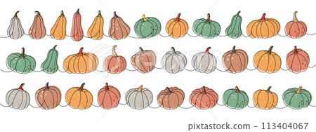 Pumpkins. Autumn pumpkins one line colored continuous drawing. Autumn halloween vegetables continuous one line illustration. Vector illustration. 113404067