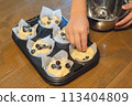 Make your own blueberry muffins using fresh blueberries from your garden 113404809