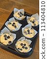 Make your own blueberry muffins using fresh blueberries from your garden 113404810