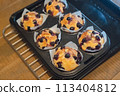 Homemade blueberry muffins made with fresh blueberries from the garden 113404812