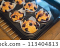 Homemade blueberry muffins made with fresh blueberries from the garden 113404813