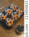 Homemade blueberry muffins made with fresh blueberries from the garden 113404815
